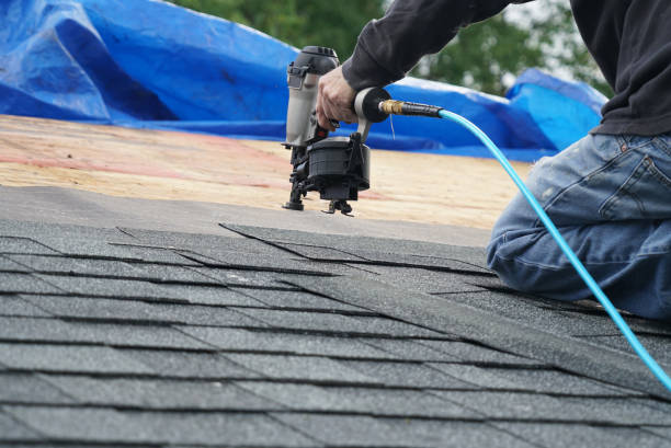 Best Roof Gutter Cleaning  in Newcastle, OK